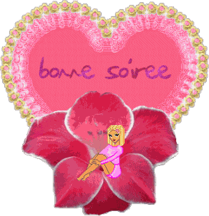 Bonsoir