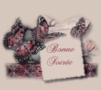 Bonsoir