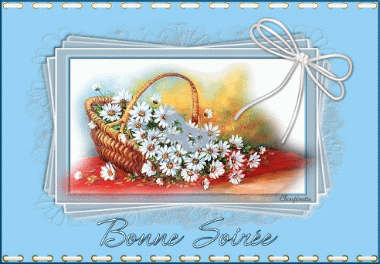Bonsoir