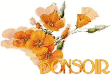 Bonsoir