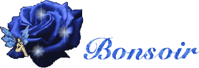 Bonsoir