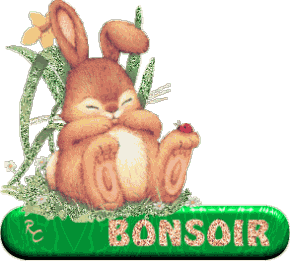 Bonsoir