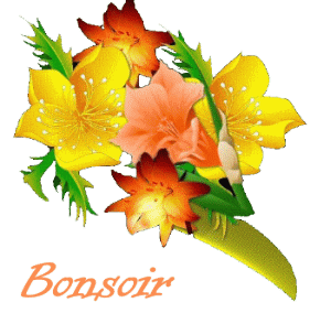 Bonsoir