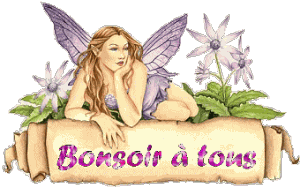 Bonsoir