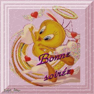 Bonsoir