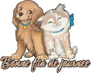 Bonsoir