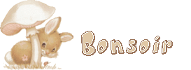 Bonsoir
