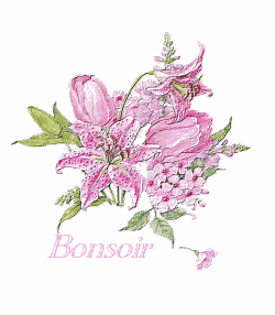 Bonsoir
