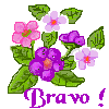 Bravo