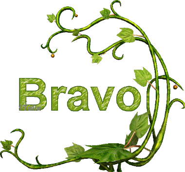Bravo