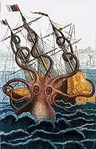 Divers