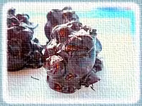 Divers