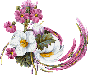 Fleurs