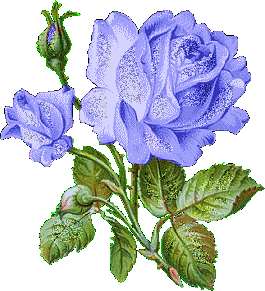 Fleurs