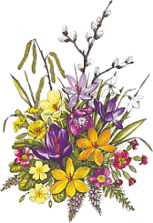 Fleurs