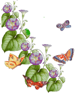 Fleurs