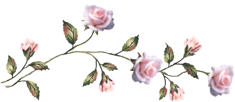 Fleurs