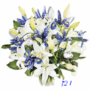 Fleurs