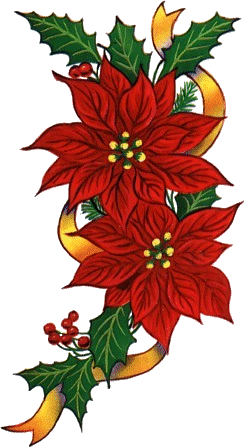 Fleurs