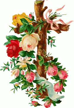 Fleurs