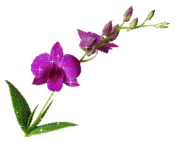 Fleurs