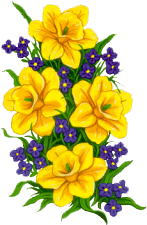 Fleurs