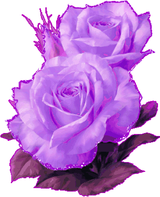 Fleurs