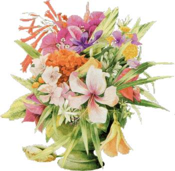 Fleurs