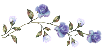 Fleurs