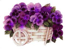 Fleurs