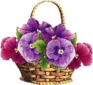 Fleurs