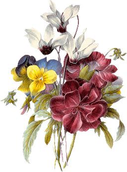 Fleurs