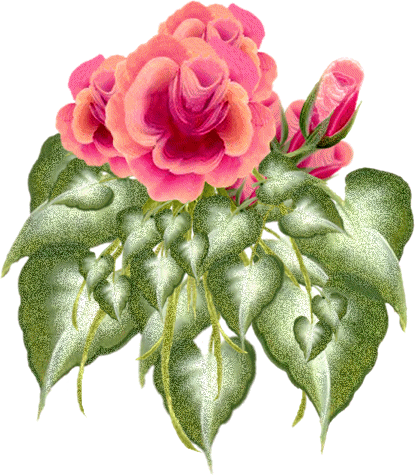 Fleurs