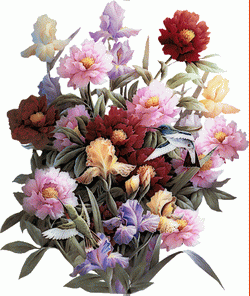 Fleurs