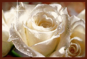 Fleurs