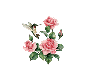 Fleurs