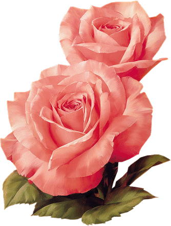 Fleurs