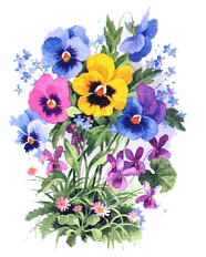 Fleurs