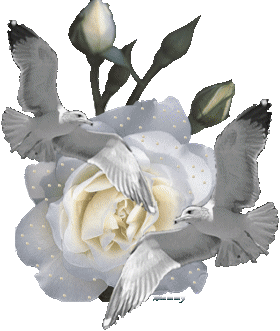 Fleurs