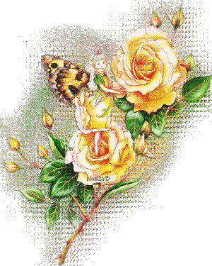 Fleurs