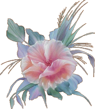 Fleurs