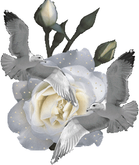 Fleurs