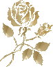 Fleurs