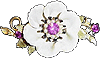 Fleurs