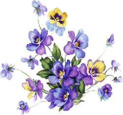 Fleurs