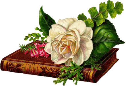 Fleurs