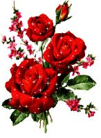 Fleurs
