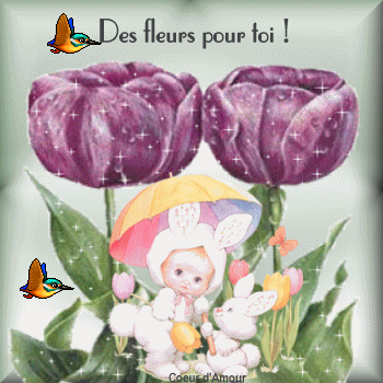 Fleurs
