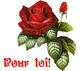 Fleurs