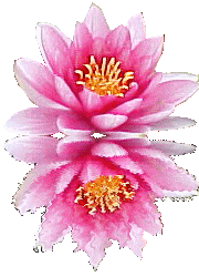 Fleurs